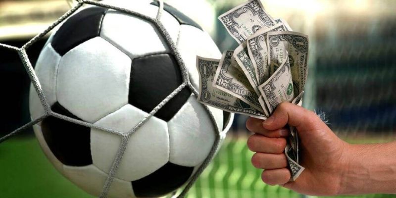 Quy trình tham gia cá cược bóng đá I9bet