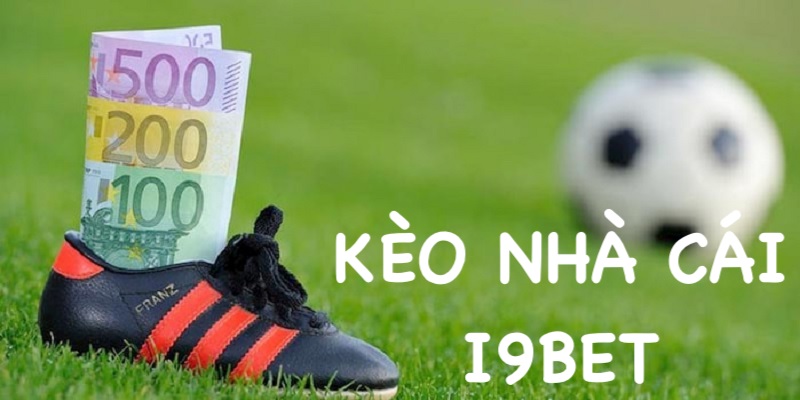 Giới thiệu không gian cá cược chất lượng cao tại I9bet